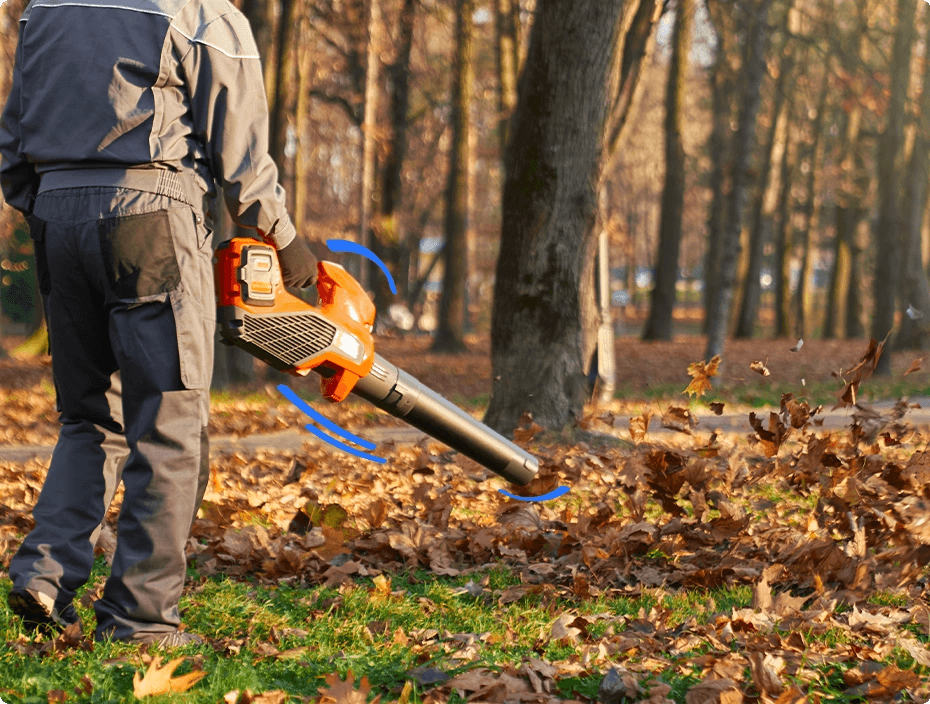 leaves-collecting